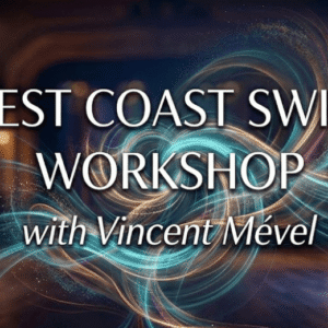 WCS Workshop bei Dancepoint mit Vincent Mével